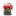 Fredericksburg Fudge Co. Dark Chocolate Covered Coffee Beans