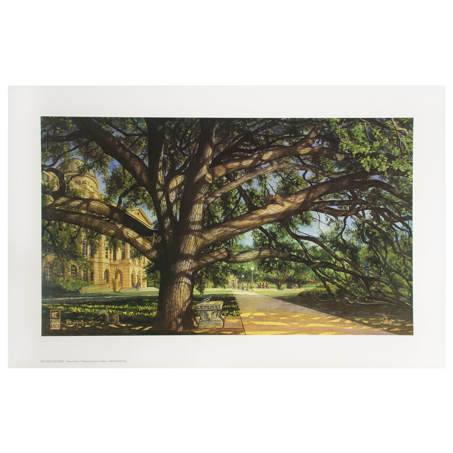 Benjamin Knox Century Tree Print