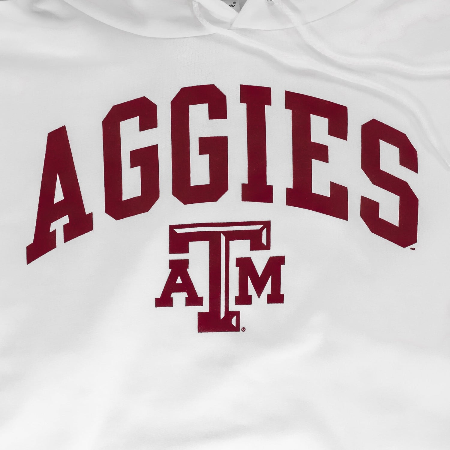 Texas A&M Champion Core Powerblend Hoodie