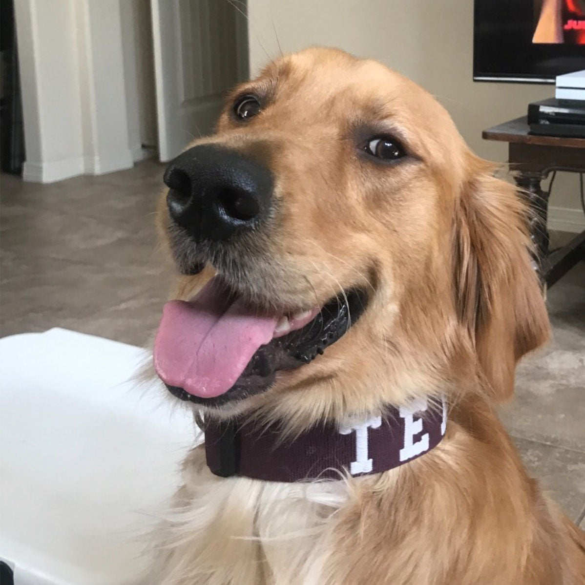 Texas A&M Embroidered Dog Collar