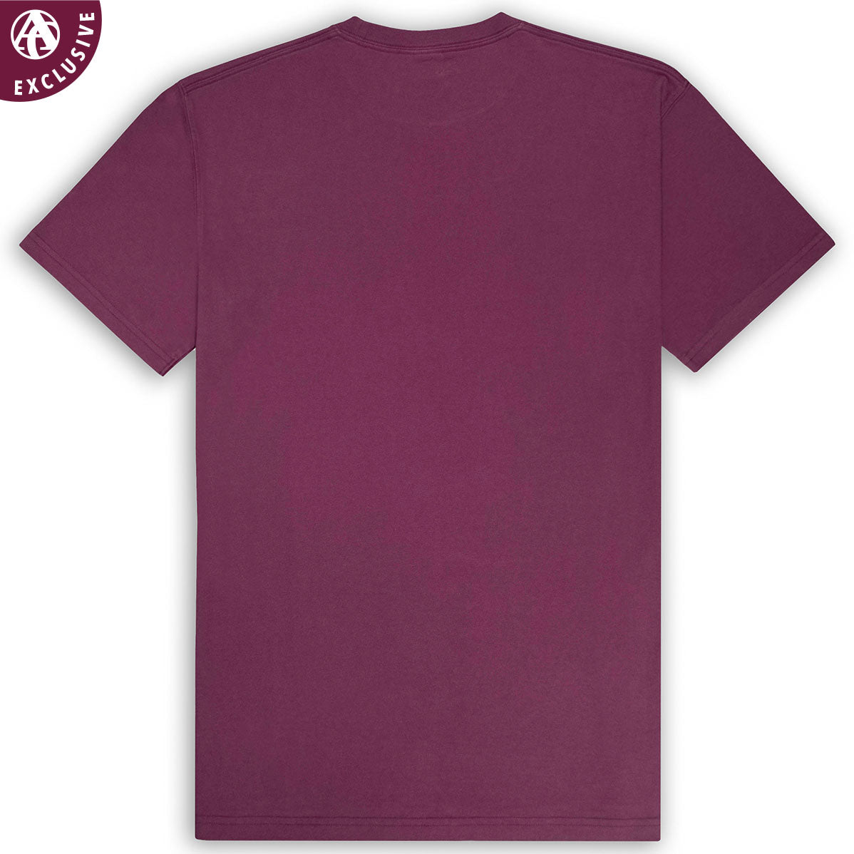 College Station Texas T-Shirt