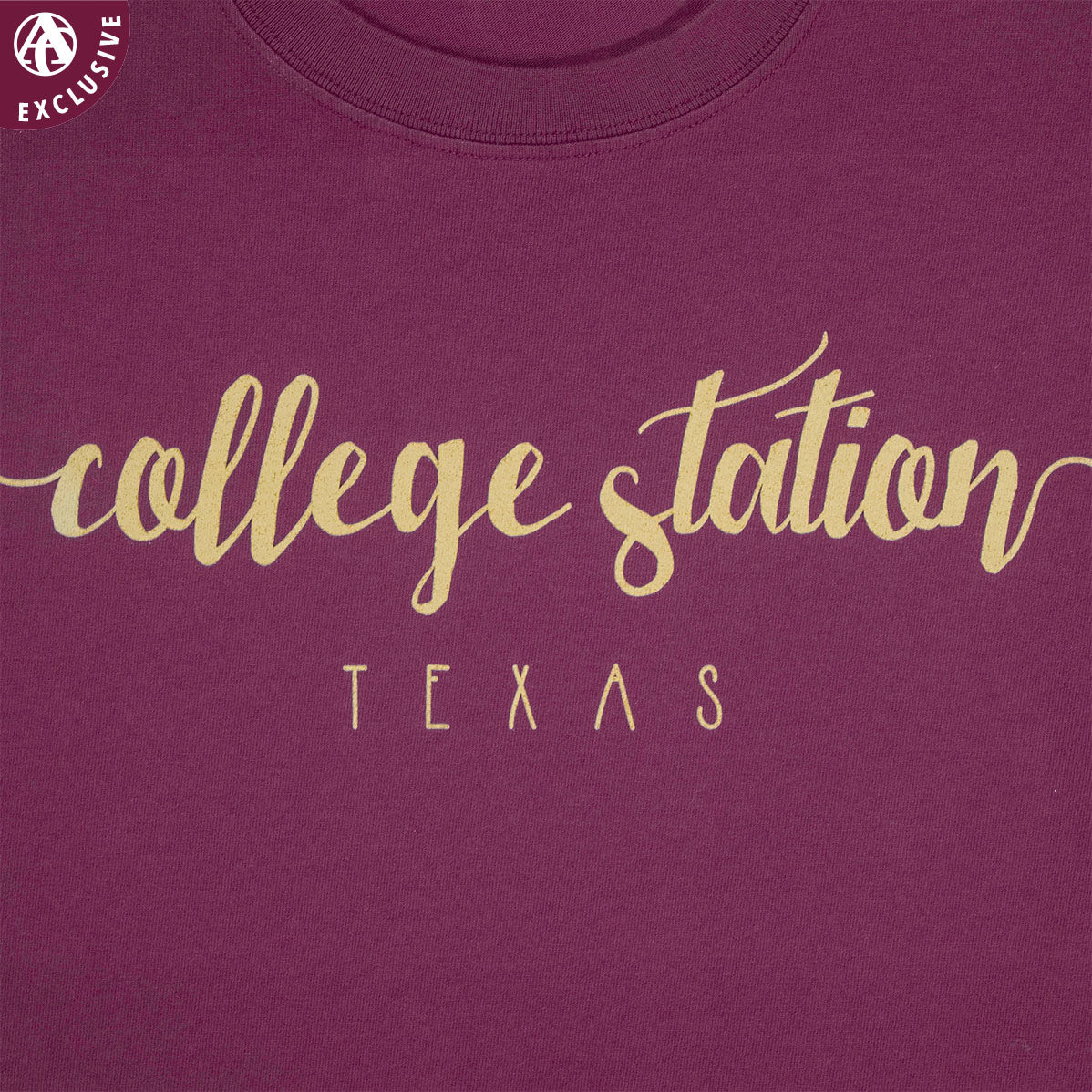 College Station Texas T-Shirt