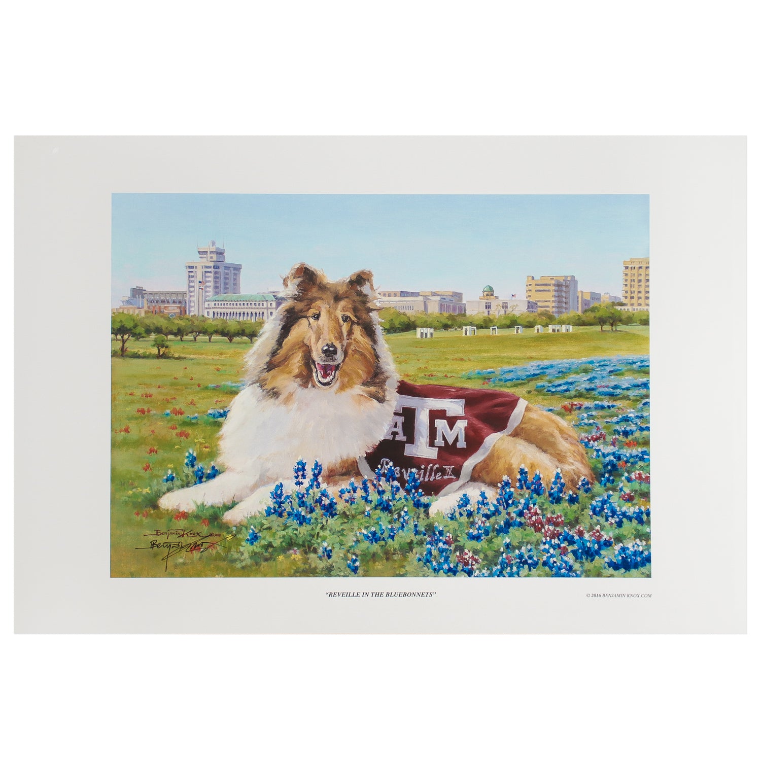 Texas A&M Benjamin Knox Reveille In Bluebonnets Print