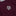 Texas A&M Youth Performance Flag Fishing Shirt