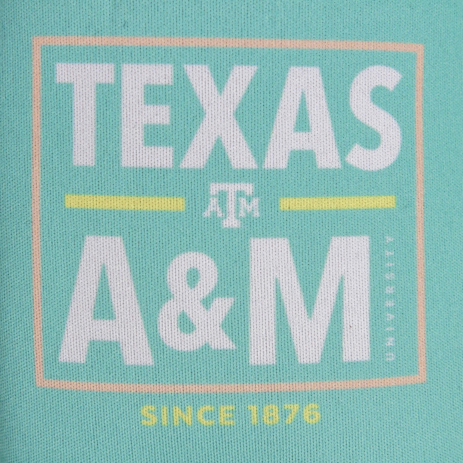 Texas A&M Written In Bold Koozie