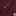 Texas A&M Antigua Dynasty Button Down