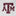 Texas A&M Headliner Crop Tee