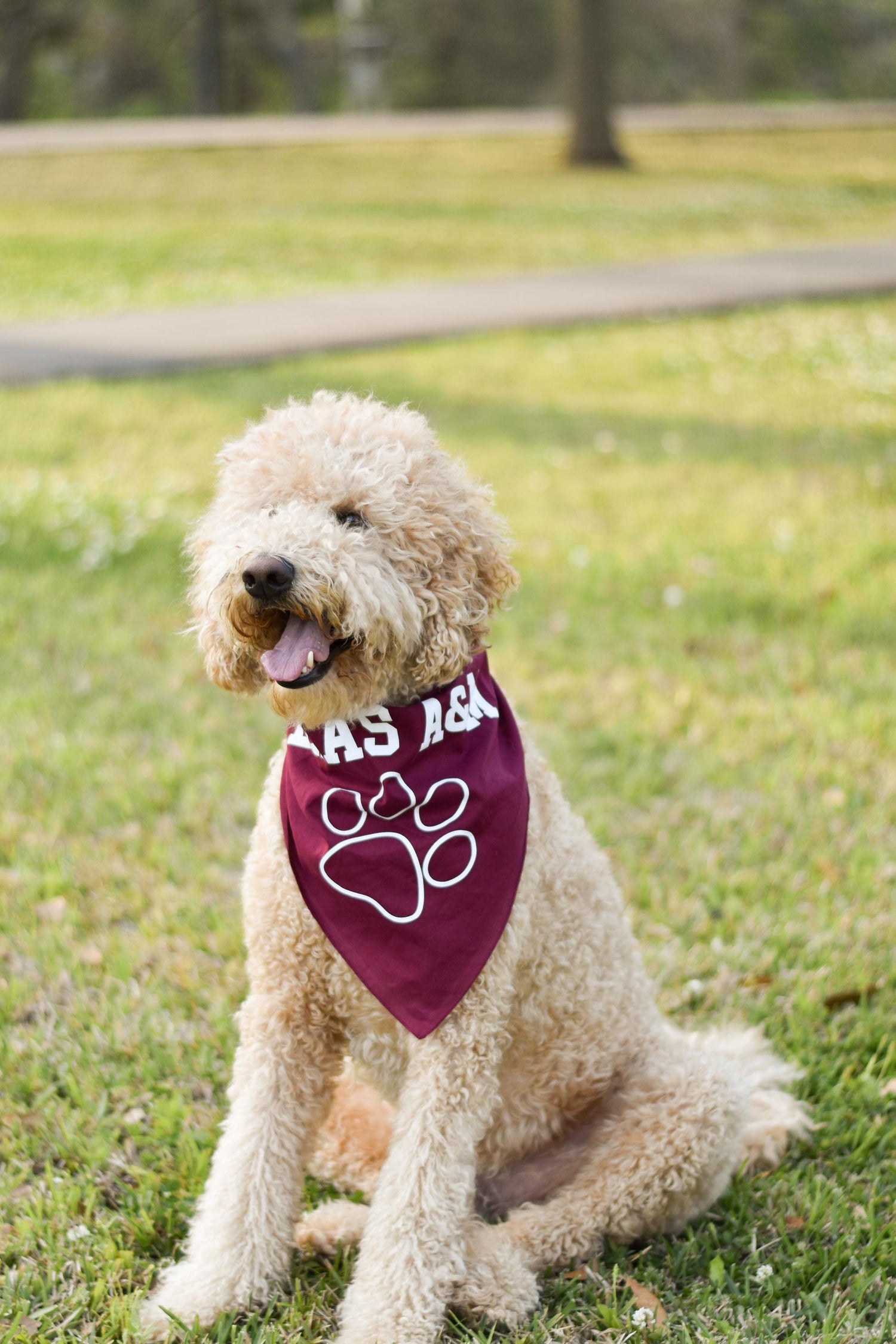 Texas A&M Pet Triangle Bandana Small