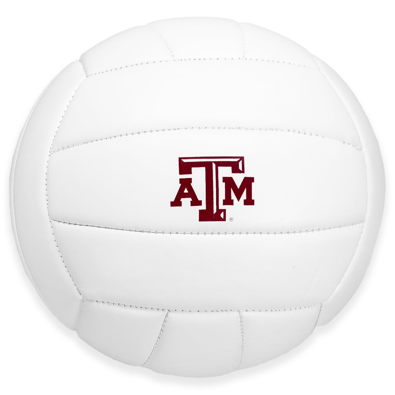 Texas A&M Baden Volleyball