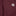 Texas A&M Adidas Sideline Training Short