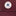 Maroon Converse All Star Hat