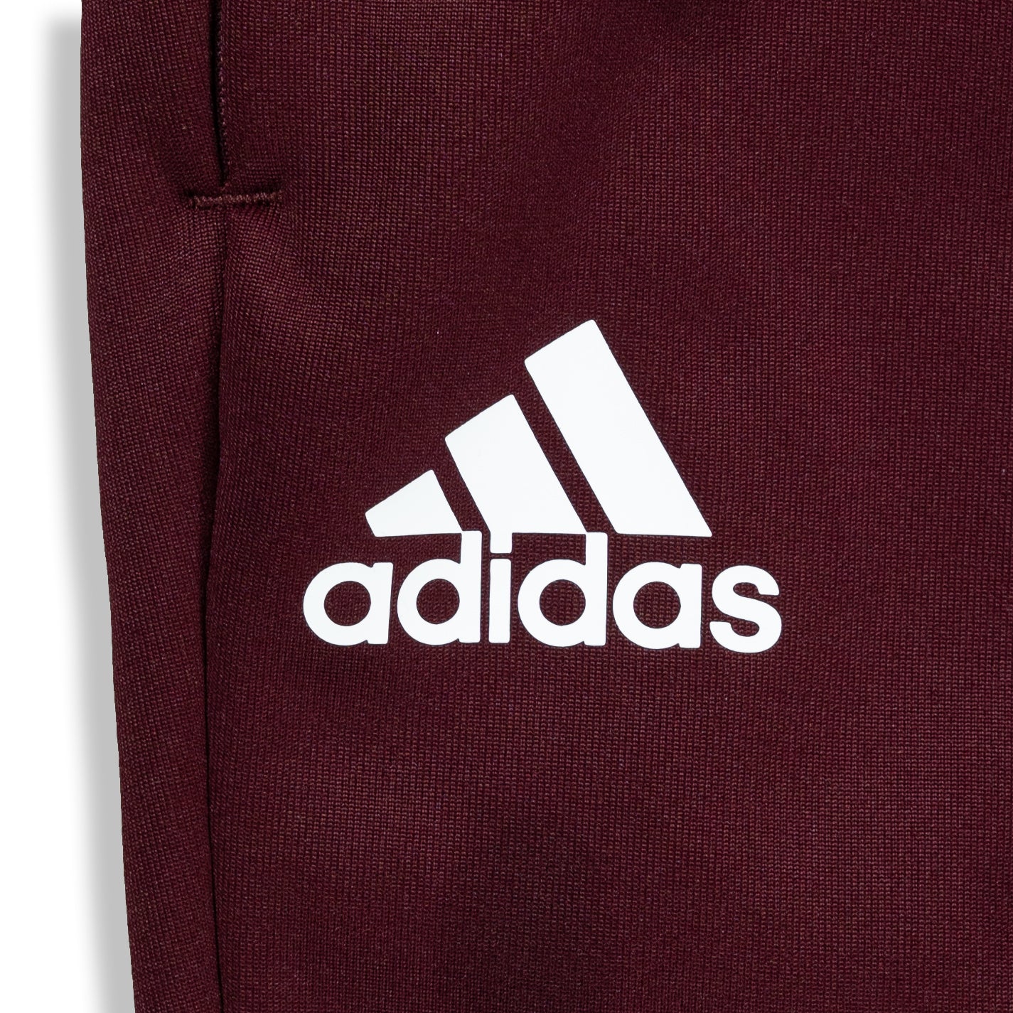 Men Stadium Tapered Pant