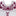Layerz White Stripe and Maroon Floral Embroidery Top