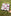 Texas A&M Tic Tac Toe Game