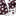 Texas A&M King Maroon And White Star Bow
