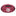 Texas A&M Aggie Pet Football Toss Toy