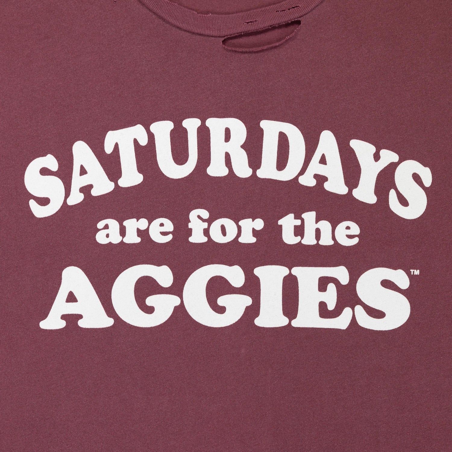Skylar Saturdays Destroyed Tee