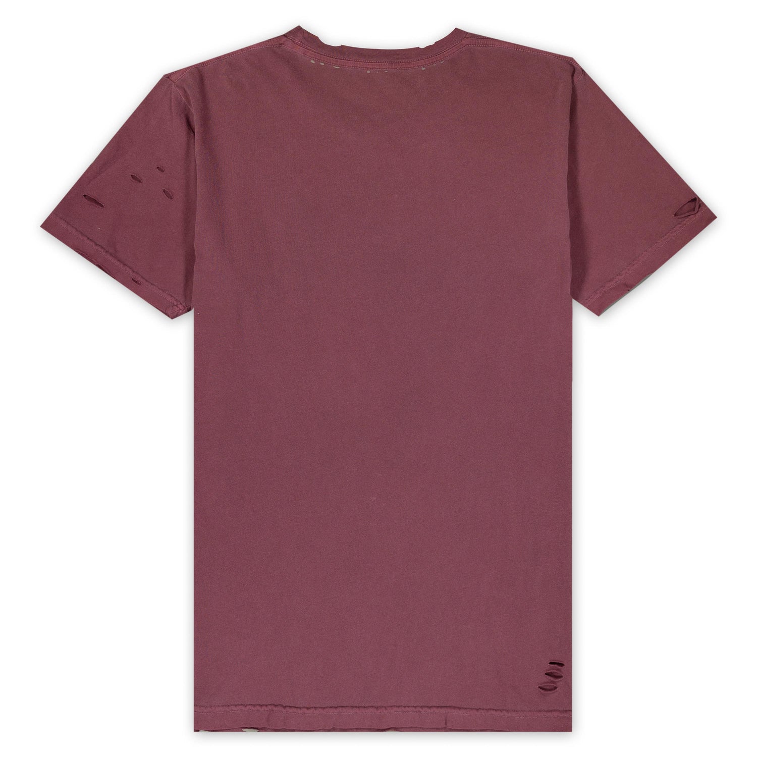 Skylar Saturdays Destroyed Tee