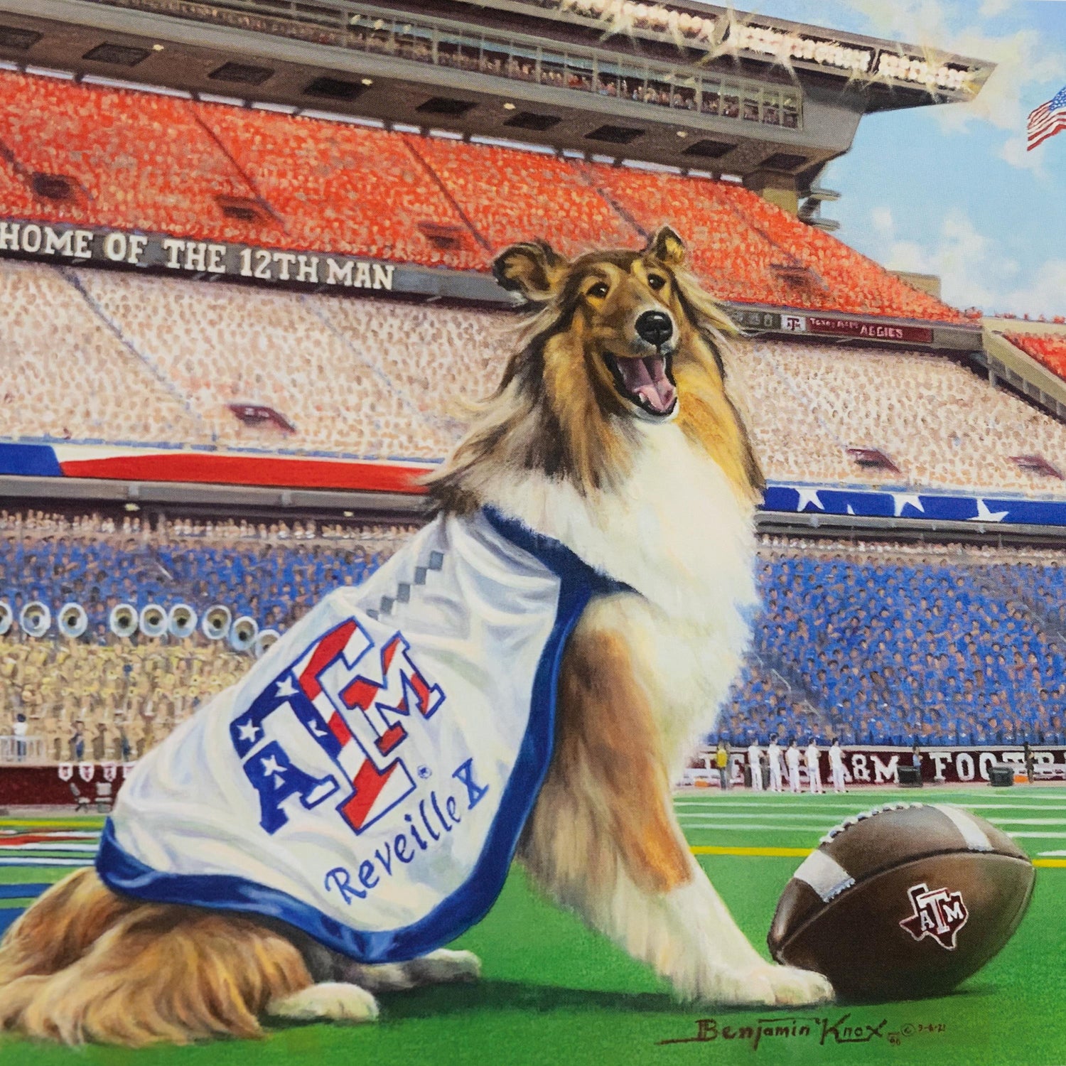 Benjamin Knox Red White Blue Reveille