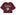 Texas A&M Aggies Champion Maroon Cropped Tee