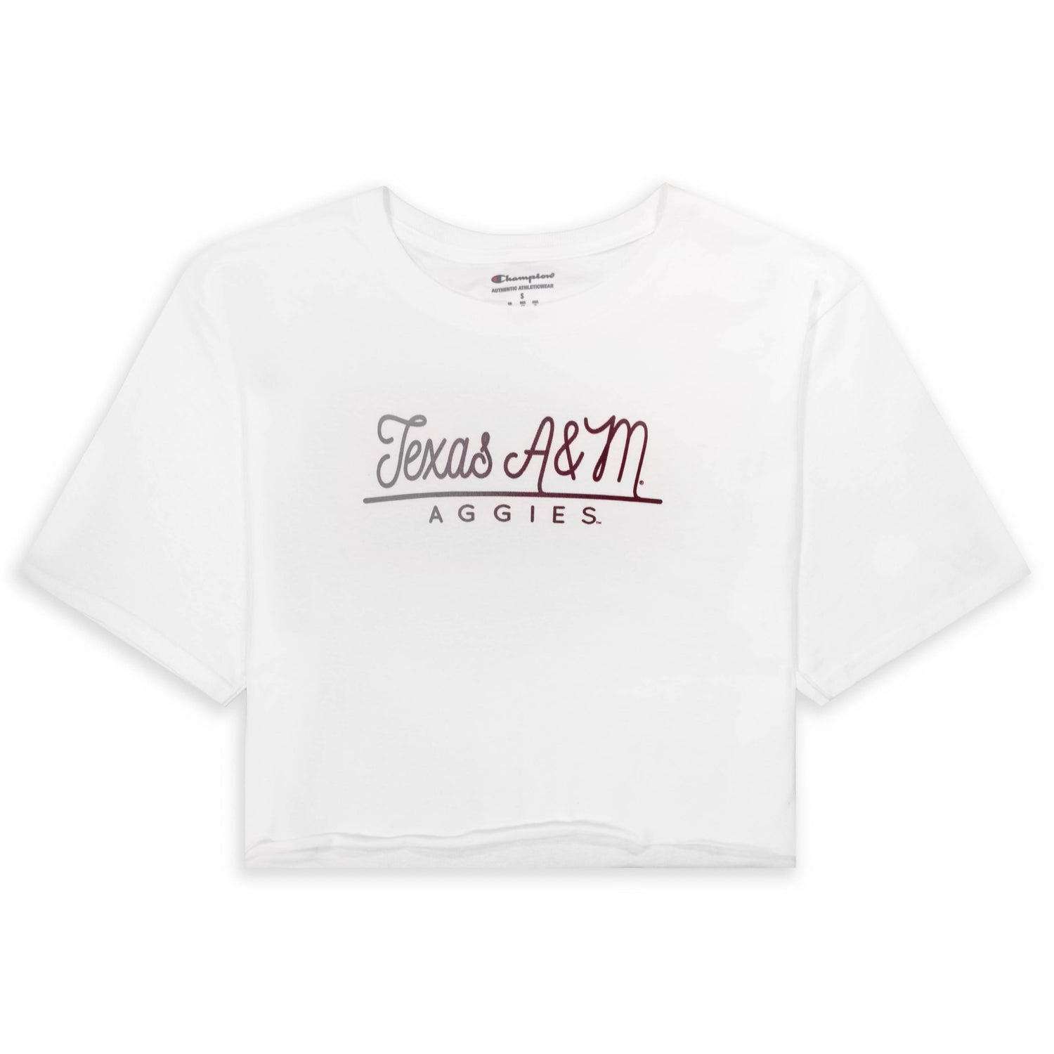 Gradient Boyfriend Crop Tee