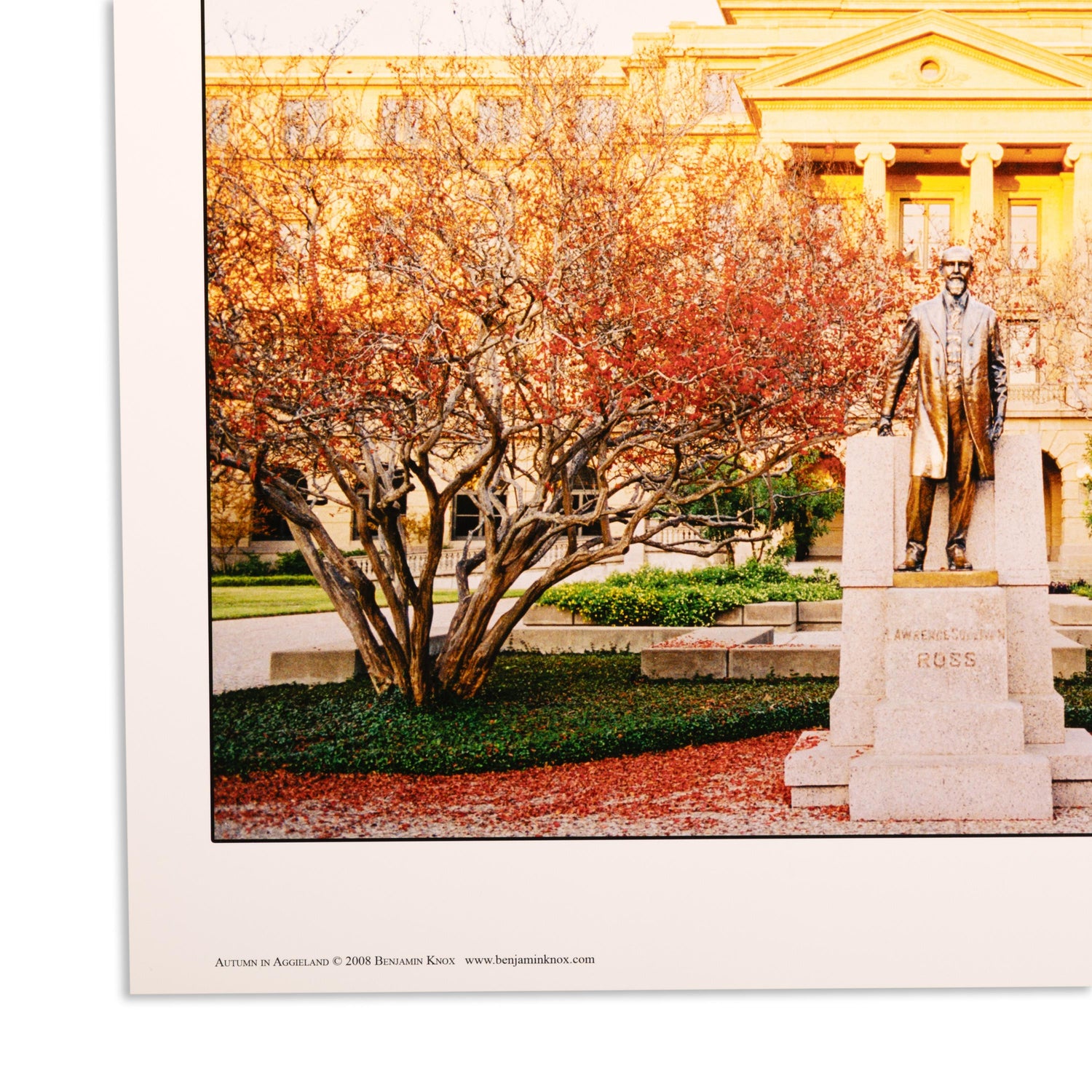 Benjamin Knox Autumn In Aggieland