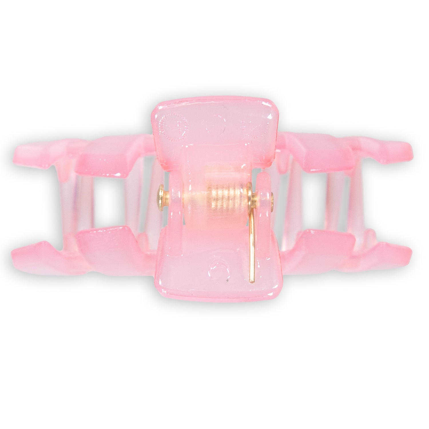 Tiny Hair Clip