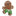 Summer Gingerbreadman